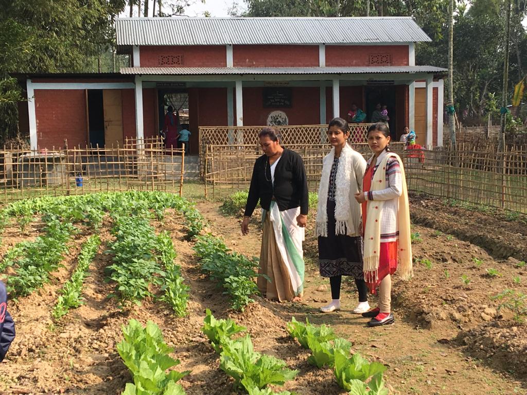 AmguriP's tweet photo. Kitchen garden pictures of some AWCs under Amguri ICDS project.#PoshanAbhiyaan #Sahiposhandeshroshan #MinistryWCD. https://t.co/vcnJQOlIAu