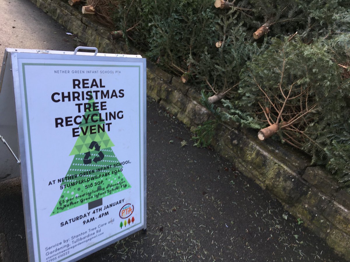 LucyCoach's tweet photo. Come and get your Christmas tree chipped at Nether Green Infants til 4pm today https://t.co/VauYhdRfqY