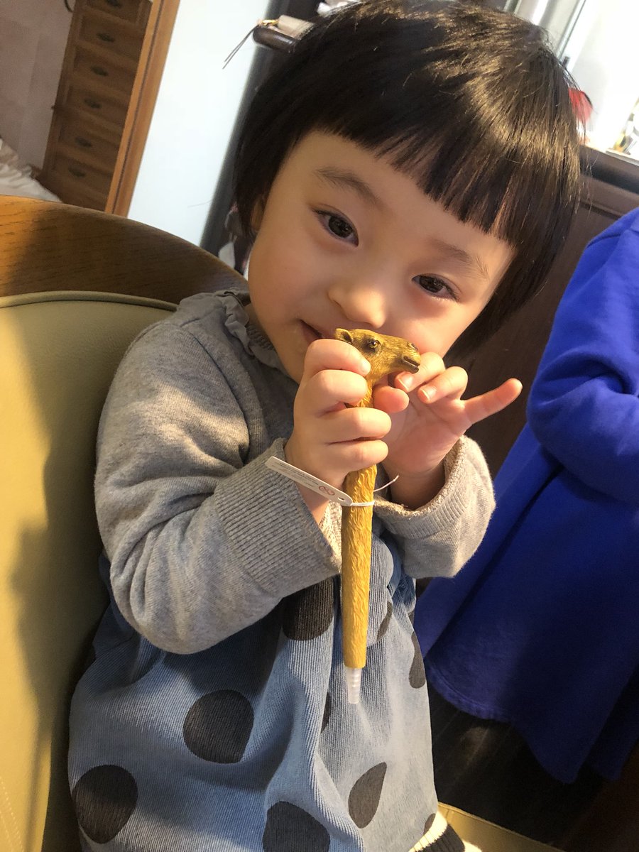 井上恵津子 Twitterissa 独特な感性のおじさんが選んだドバイ土産を姪っ子2人へ こんなボールペンに ラックー と名前まで付けてもらいました 2人に癒されたお正月 最高