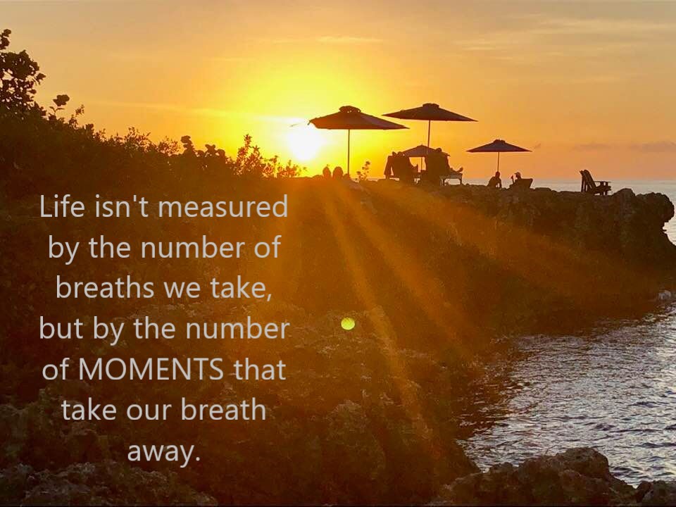 JessicaAppleVB's tweet photo. Happy New Year! https://t.co/X6GiI15vEa https://t.co/hNhvTd9iy6