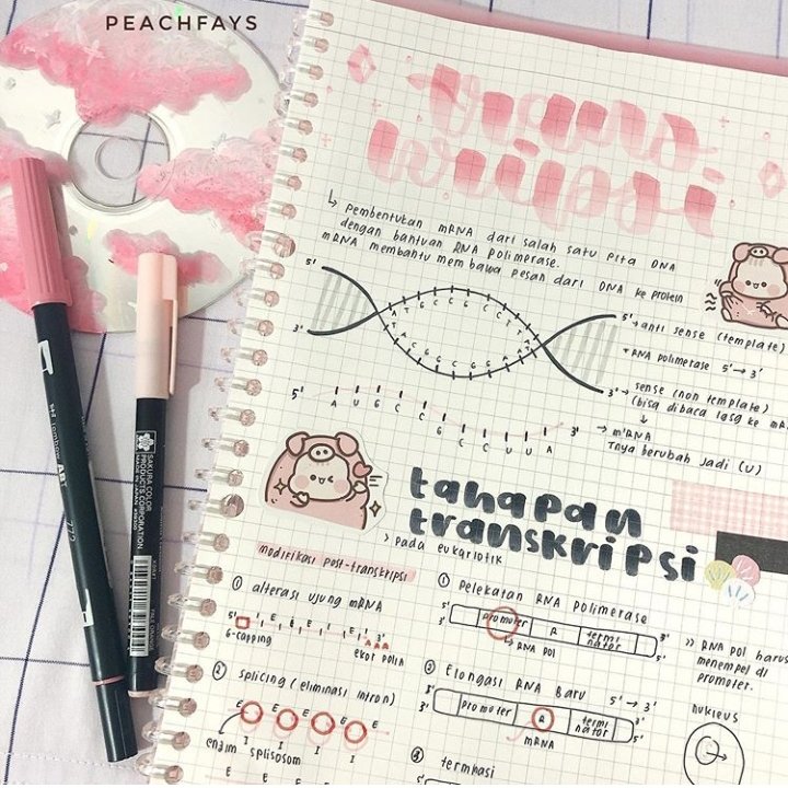Lushyplan1's tweet photo. peachfays https://t.co/edaabTz0XV