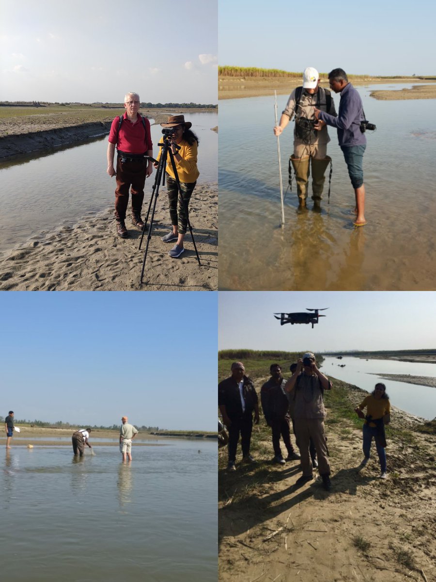 The India-EU Water Partnership #IEWP Joint WG involving <a href="/CWCOfficial_GoI/">Central Water Commission</a> CIFRI <a href="/giz_india/">GIZ India</a>  <a href="/NIH_Hydrology/">National Institute of Hydrology</a>, WII and EU experts <a href="/Prof_McClain/">Michael McClain</a> <a href="/stefan_schmutz/">Schmutz Stefan</a> and Piotr Parasiewicz undertook detailed hydro-ecologocal surveys for Ramganga #environmentalflow assessment #indiaeueksaath