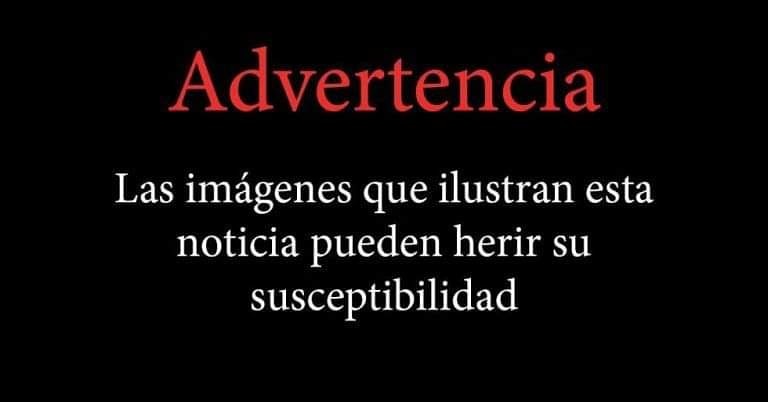 JorgeRamirezDsf's tweet photo. ATENCIÓN: IMÁGENES FUERTES
Delincuente abatido en intento de asalto
SEGUÍ LEYENDO ACÁ → https://t.co/pbX3TaQzkc https://t.co/m1yjr8kbId