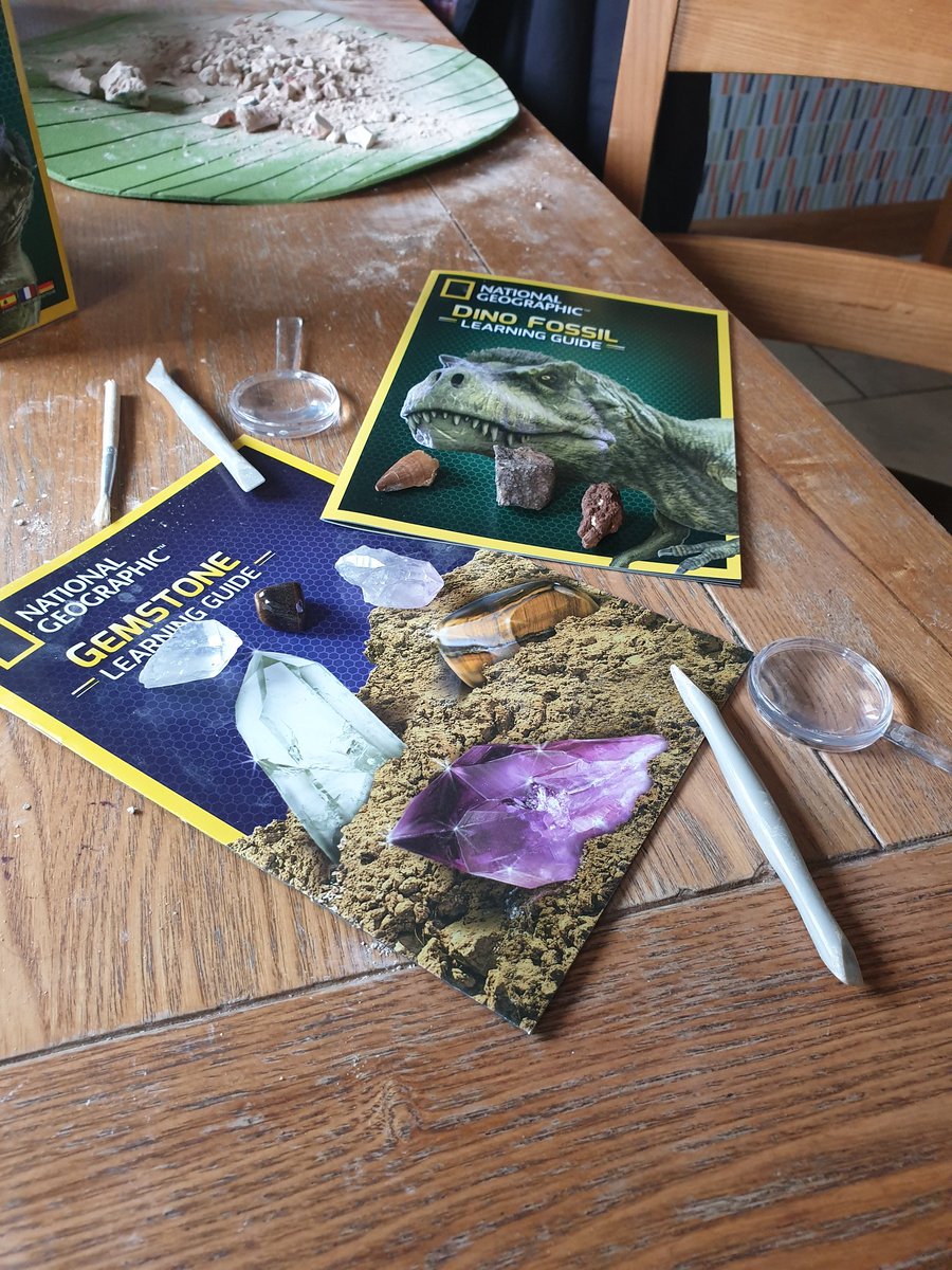 DerroGabba's tweet photo. Budding archeologist and geologist with their finds #learningisfun #STEM #Saturdaymorningfun #dinosaurs #dinopoop #gemstones #explore #discover #makingmemories @NatGeo @NatGeoUK @principalhfps https://t.co/pewa2u5ZQD