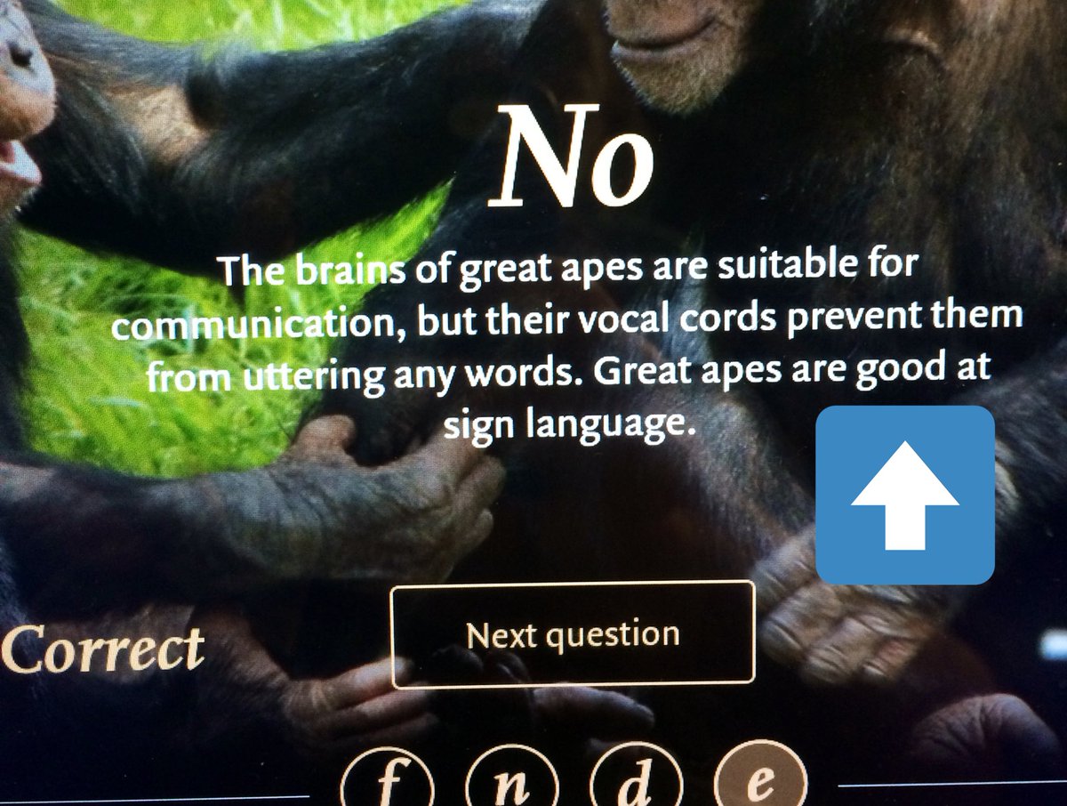 Photo of a museum display claiming that “great apes are good at sign language”