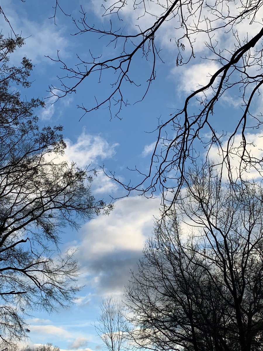 sokamoto's tweet photo. Good morning, Columbus! #ColumbusGA #mydailyphoto #01/04/2020.#2020project #mostlycloudy #suntryingtorise #cooler #stilldamp #breezy #groundstillverywet #afewbirdschirping #neighborsdogshowling https://t.co/OIUPRJIPJP