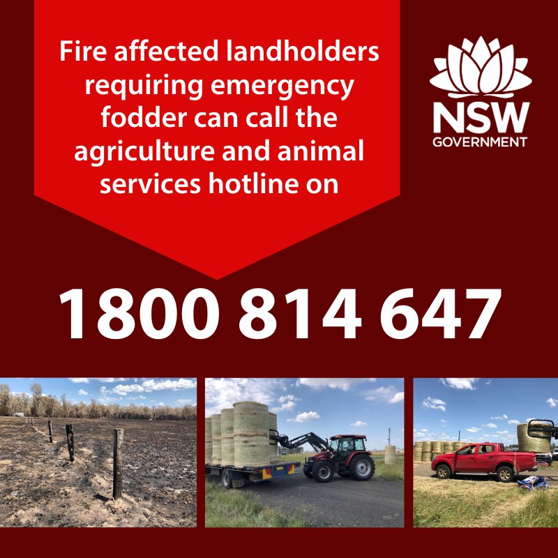 Daniel Brear tweet media