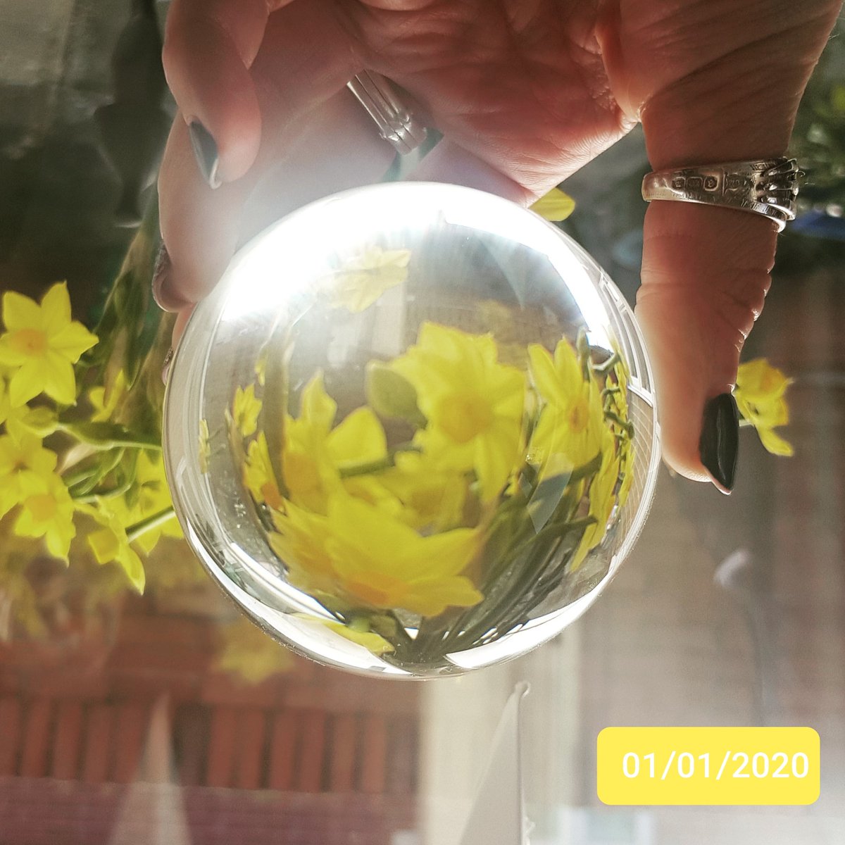 RhoRhoPhotos's tweet image. I've challenged myself to do a photo a day this year! Follow using the link below! #photooftheday #photography #rhorho #adventuresofrhorho
m.facebook.com/story.php?stor…