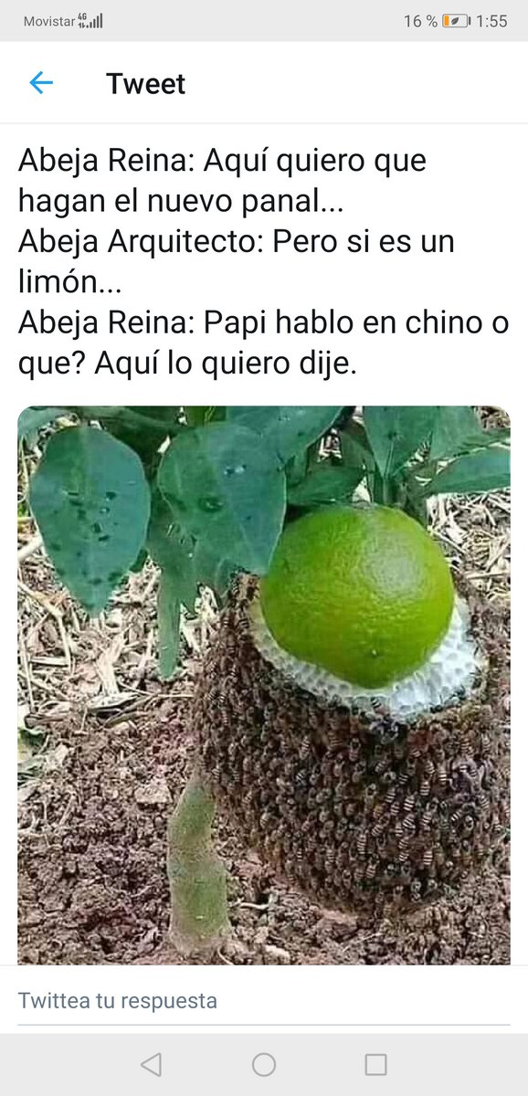 ENcVcSlWkAIUqXl.jpg
