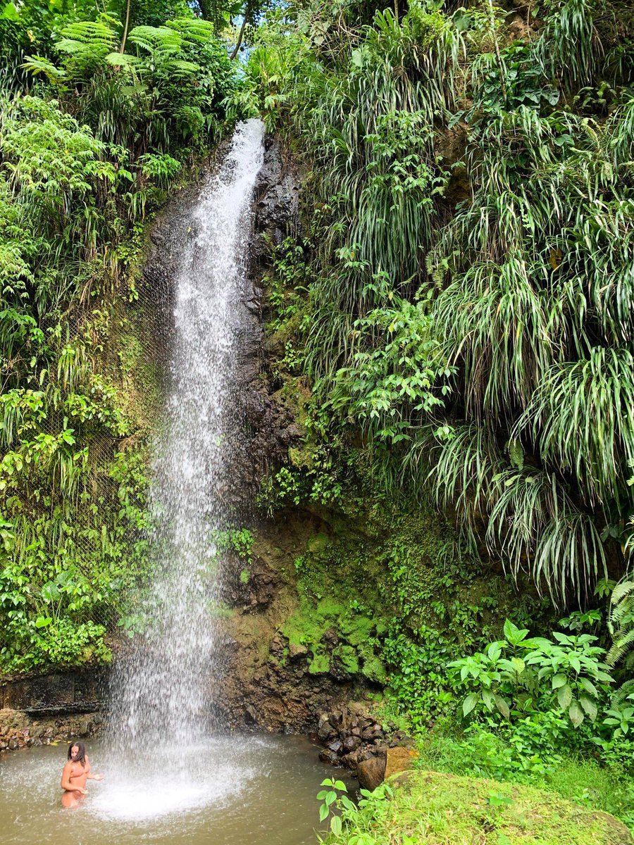 Nick Faulkner tweet media