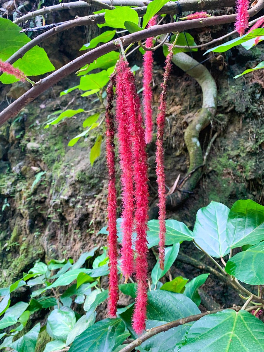 Nick Faulkner tweet media