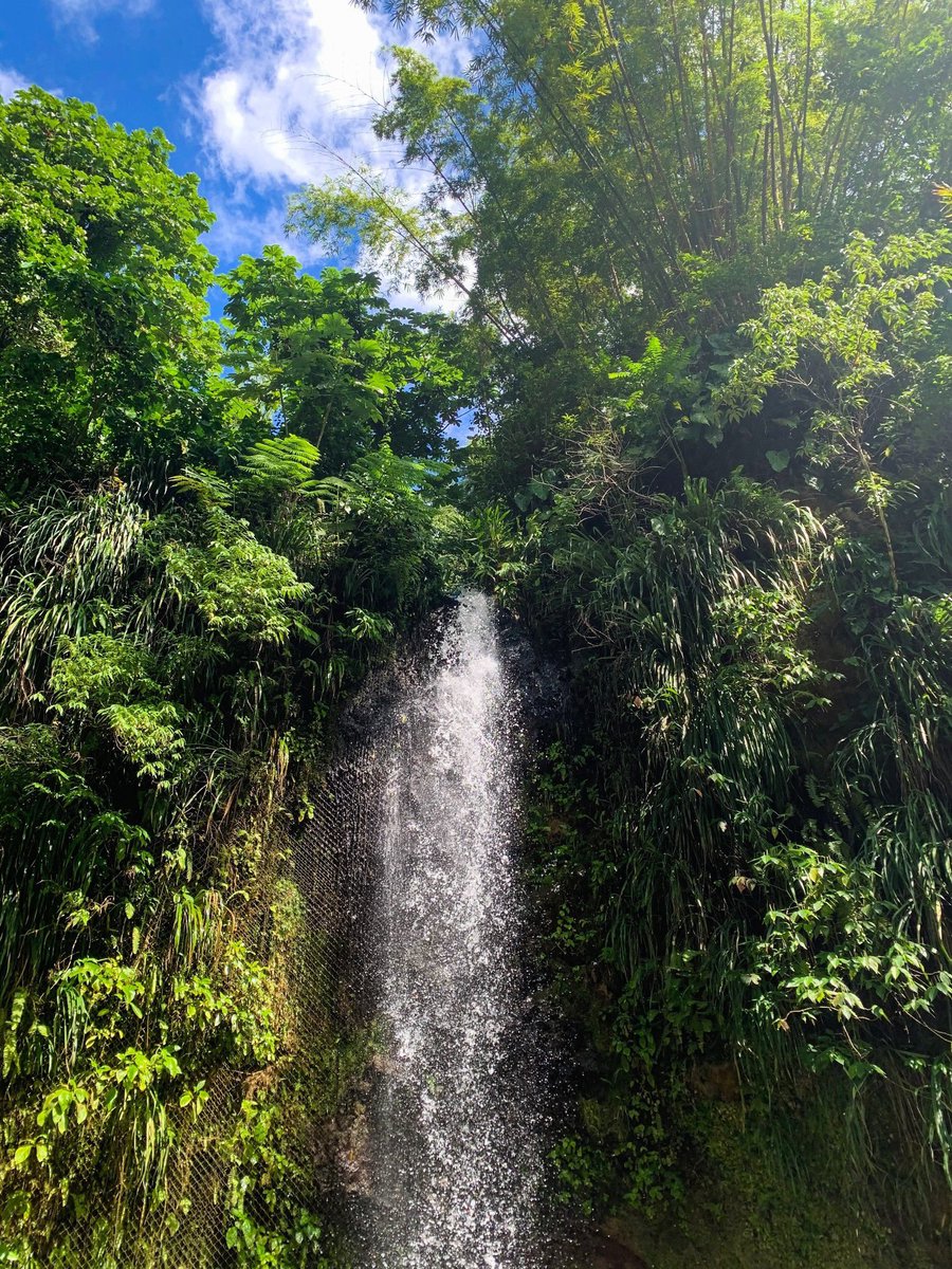 Nick Faulkner tweet media