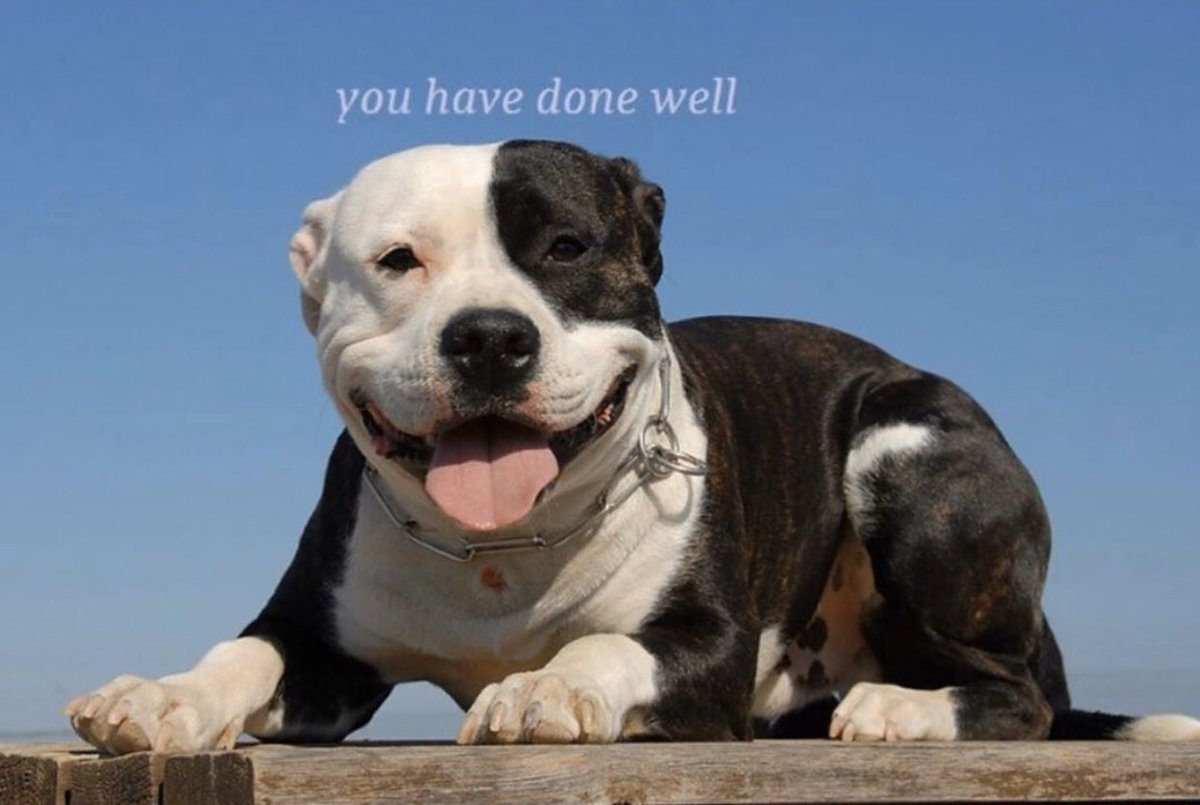 firstcreation's tweet image. i am thinking ...

of what, you may ask,

well, wouldn’t you like to feast your eyes on ...

him.