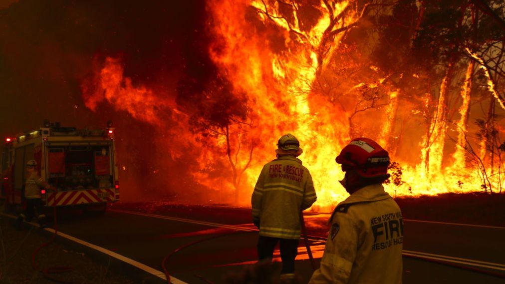 gioiax22's tweet photo. Près d'un demi-milliard d'animaux ont péri dans les flammes menaçant la survie de plusieurs douzaines d'espèces. 💔🙏🏼 #AustraliaBurning #PrayForAustralia https://t.co/L315sWVVwk