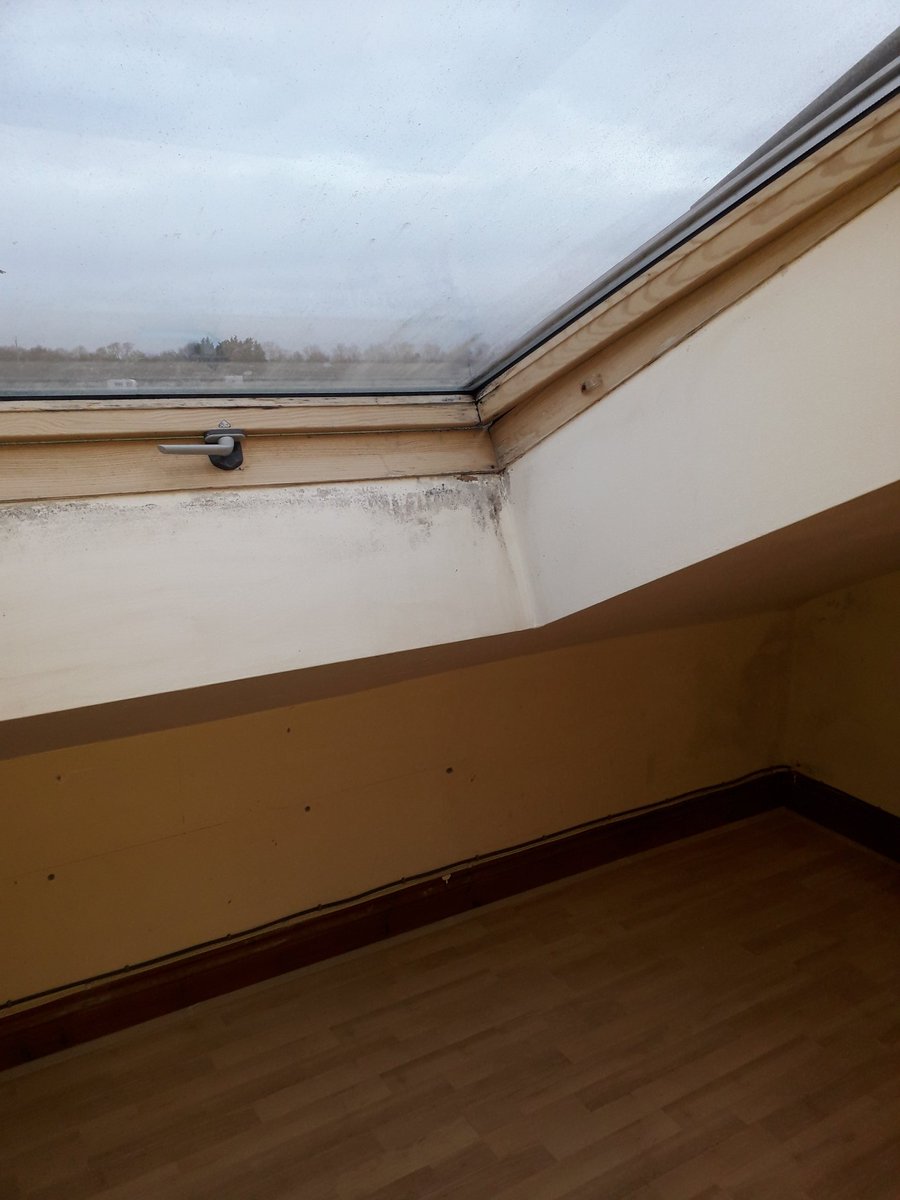 Chester Painter tweet media