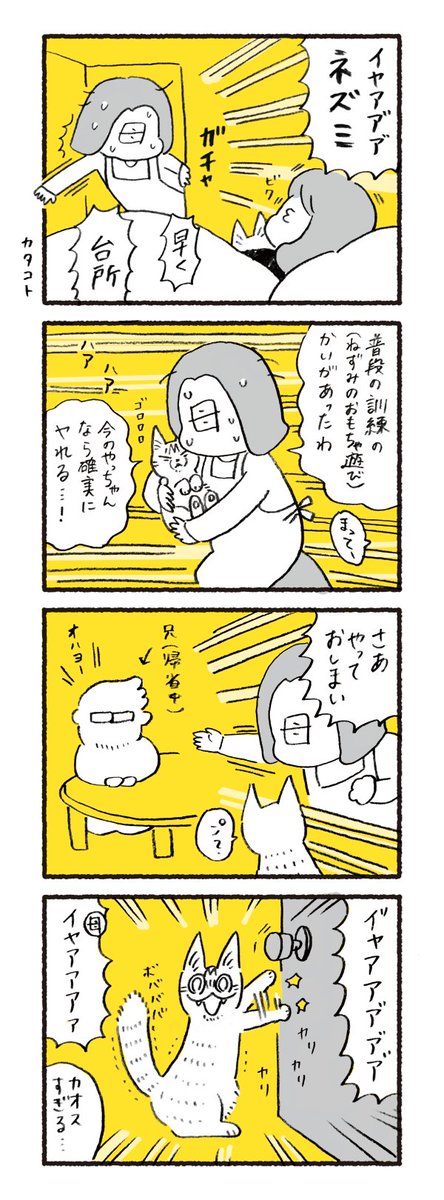 お正月の朝から1人と1匹の悲鳴が鳴り響いた日 