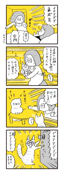 お正月の朝から1人と1匹の悲鳴が鳴り響いた日 