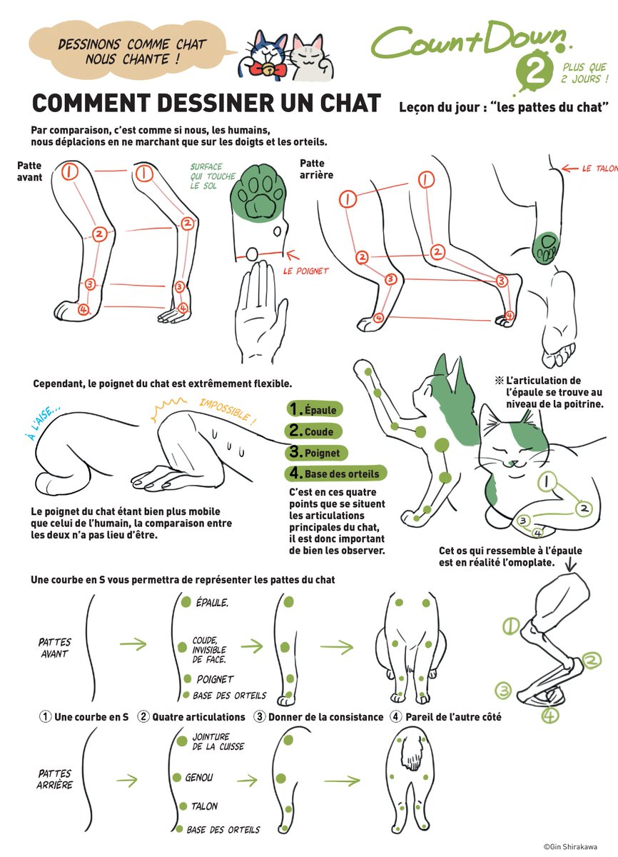 Glenat Manga Defi Dessin Derniere Lecon Les Oreilles La Queue Les Pattes Le Corps Des Chats Et Leurs Attitudes Leur Permettent D Exprimer Une Multitude D Emotions Pret E S A Nous Montrer