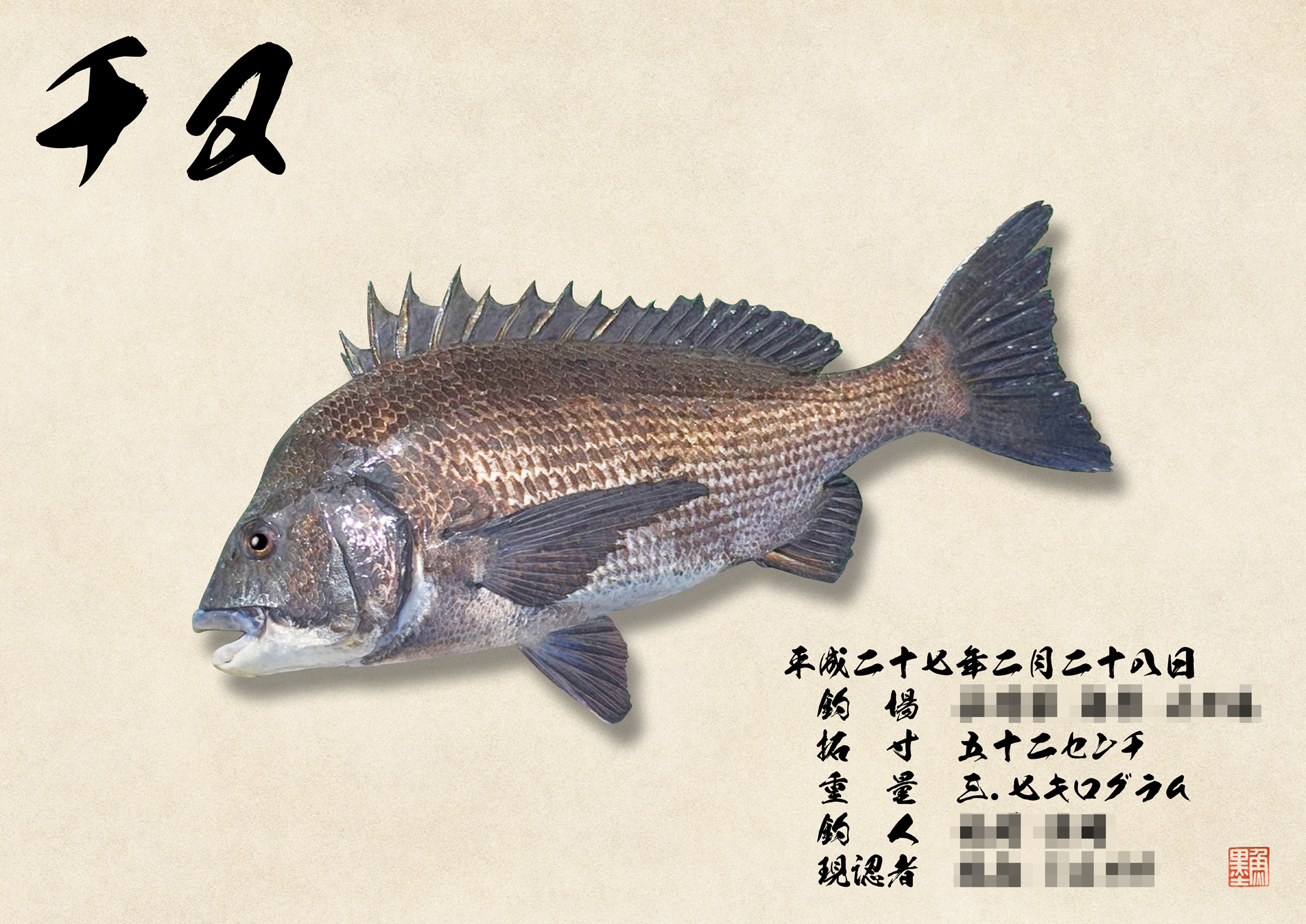 魚拓 黒鯛魚拓 チヌ魚拓 クロダイ魚拓 魚長53.0cm 拓寸52.5cm