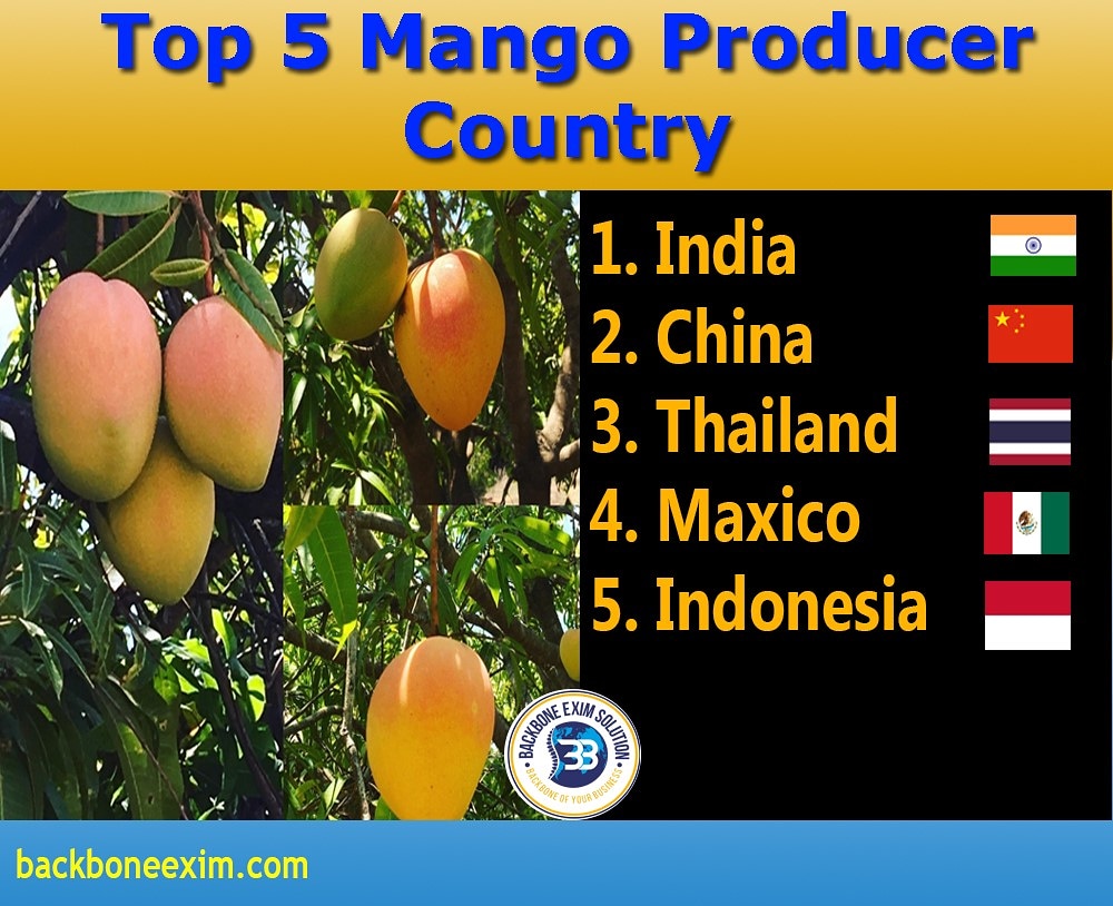 BackboneExim's tweet photo. 👉For more about import export business and start your import export business in India please feel free contact us on +918758533753
#export #import #exim #eximnews #backboneeximsolution #mangos  #india #howtostartexportbusiness #learnimpor #thailand #mango #Agriculture #Apeda https://t.co/DvyJXghRMI