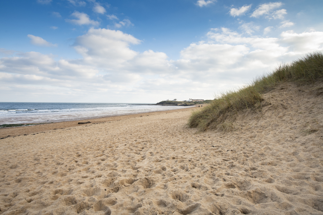 Parkdean Resorts tweet media