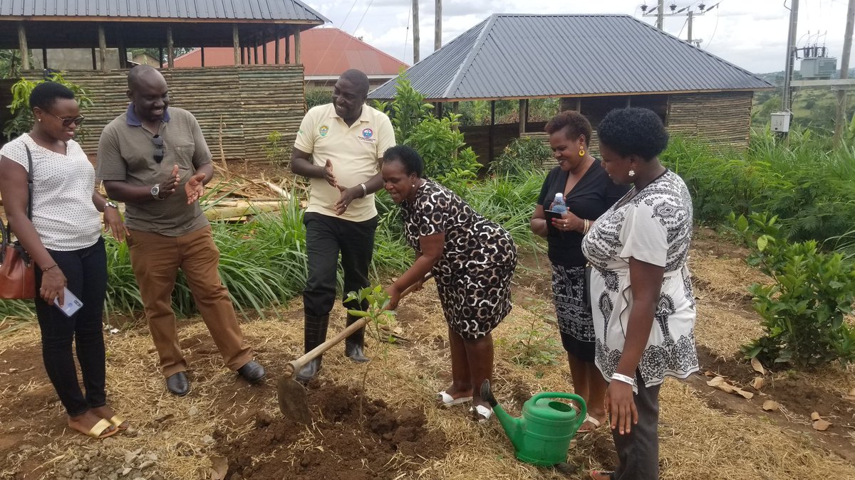 ExcelHort's tweet photo. In an initiative by EHCAI to preserve a green environment through planting trees, today we were graced with an opportunity to have teacher Winnie, Director of mbarara preparatory primary school plant a tree at our premises https://t.co/OTvuGS50P9
