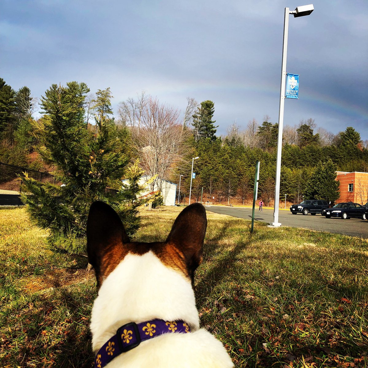 HPtso's tweet photo. Can you see the rainbow over HVHS? Must be time for school to start up again...Are you ready? #breakisover https://t.co/qGoz81F53t