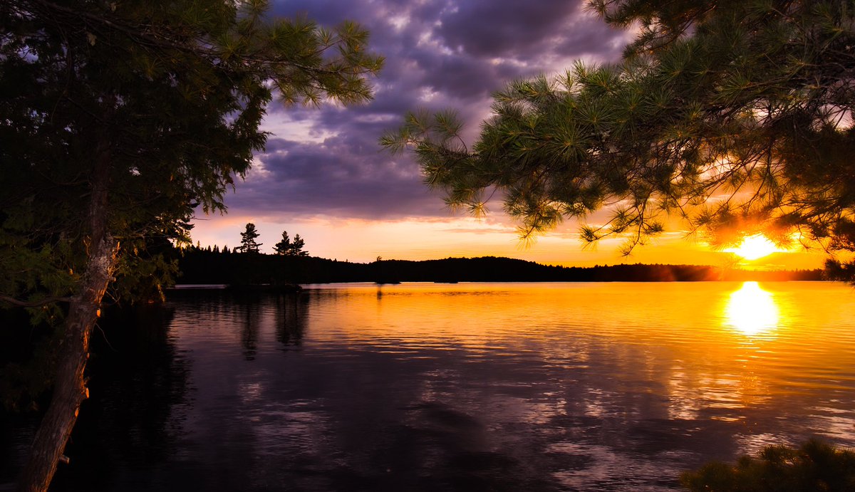 GoldenHourGirl1's tweet photo. Liquid Gold Horizon | Algonquin Provincial Park #GoldenHourGirl #sunsetphotography #travelblog #photographyblog #femaleblog #femalephotographer #sunset https://t.co/z5hhNXXuEq