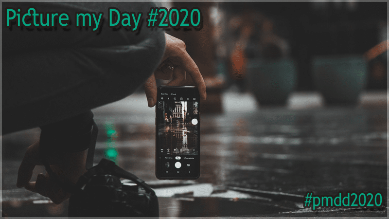 ShirisuSession's tweet photo. Gebloggt: #0984 [Spotlight] „Picture my Day“ Day #2020
#pmdd2020 #pmd2020 #pmd #pmdd #picturemyday #picturemydayday https://t.co/WyMOi817GS https://t.co/VSw8tFsFBv