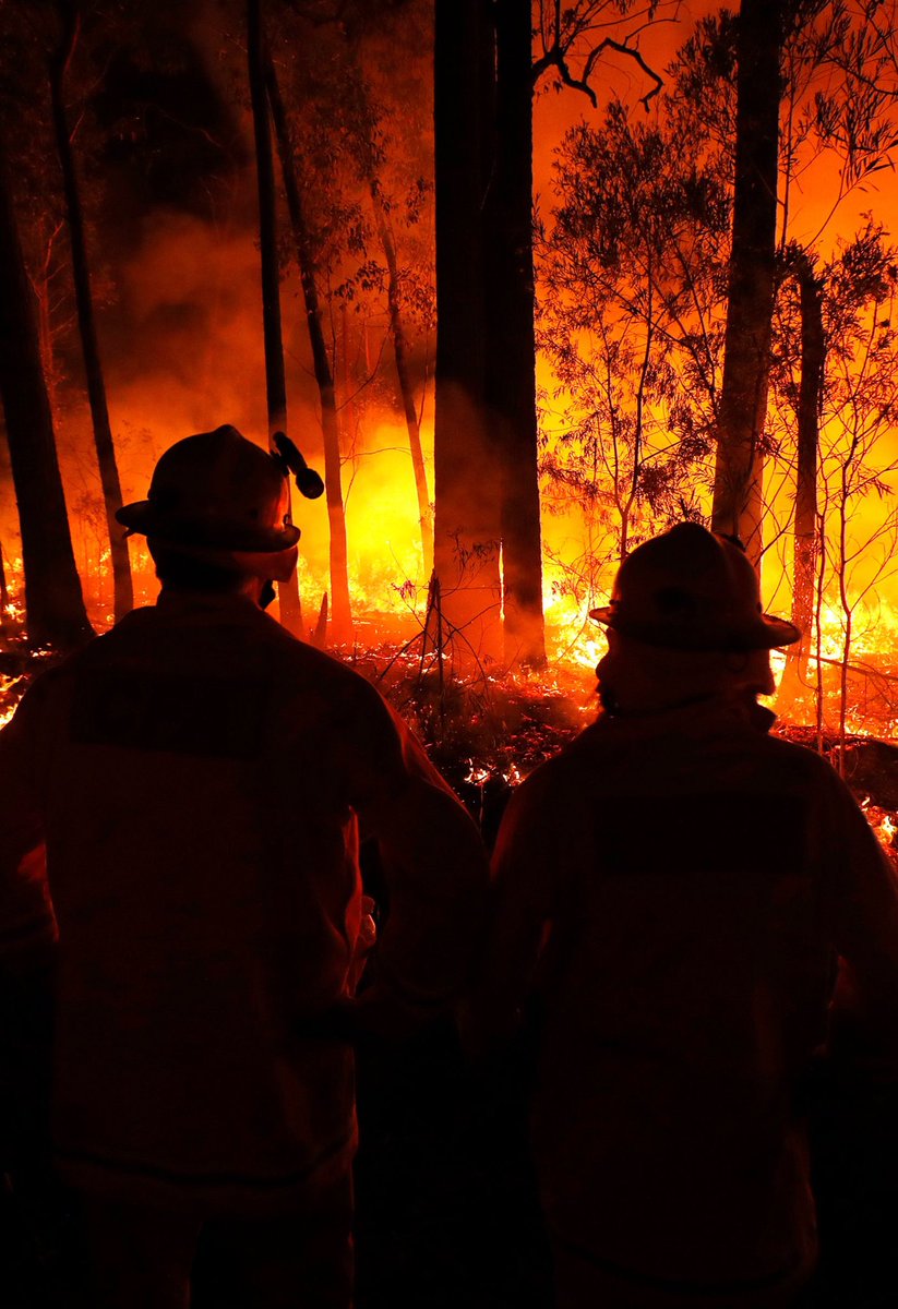 happy__jacks's tweet photo. If you guys want to do something about the Australia fires - here are some tips! ❤️
Link for the article below https://t.co/onGGU131AF