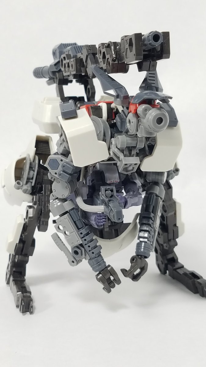 sapix0017's tweet photo. #ヘキサギア
第三世代有袋類型ヘキサギア「ブロック・ラビー」、設定7割ぐらいだけど本体は完成です！
有袋類型ということで、お腹にガバナーを乗せたときになにをさせるか、を考えた機体です
一押しポイントは後ろ足つま先　アビクロのあまりパーツをカットしたものだけど、あまりにもドンピシャ形状 https://t.co/YM2fvOi25v