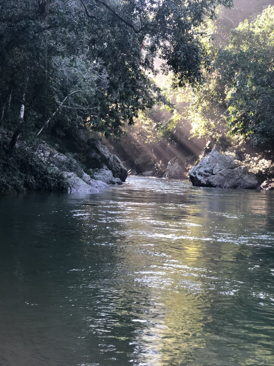 stem_math's tweet image. Camping in the Mexican jungle was awesome!