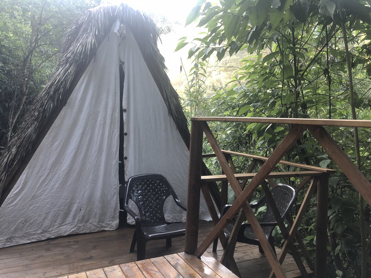stem_math's tweet image. Camping in the Mexican jungle was awesome!