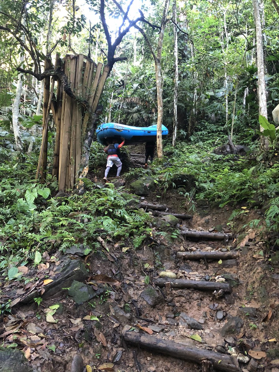 stem_math's tweet image. Camping in the Mexican jungle was awesome!