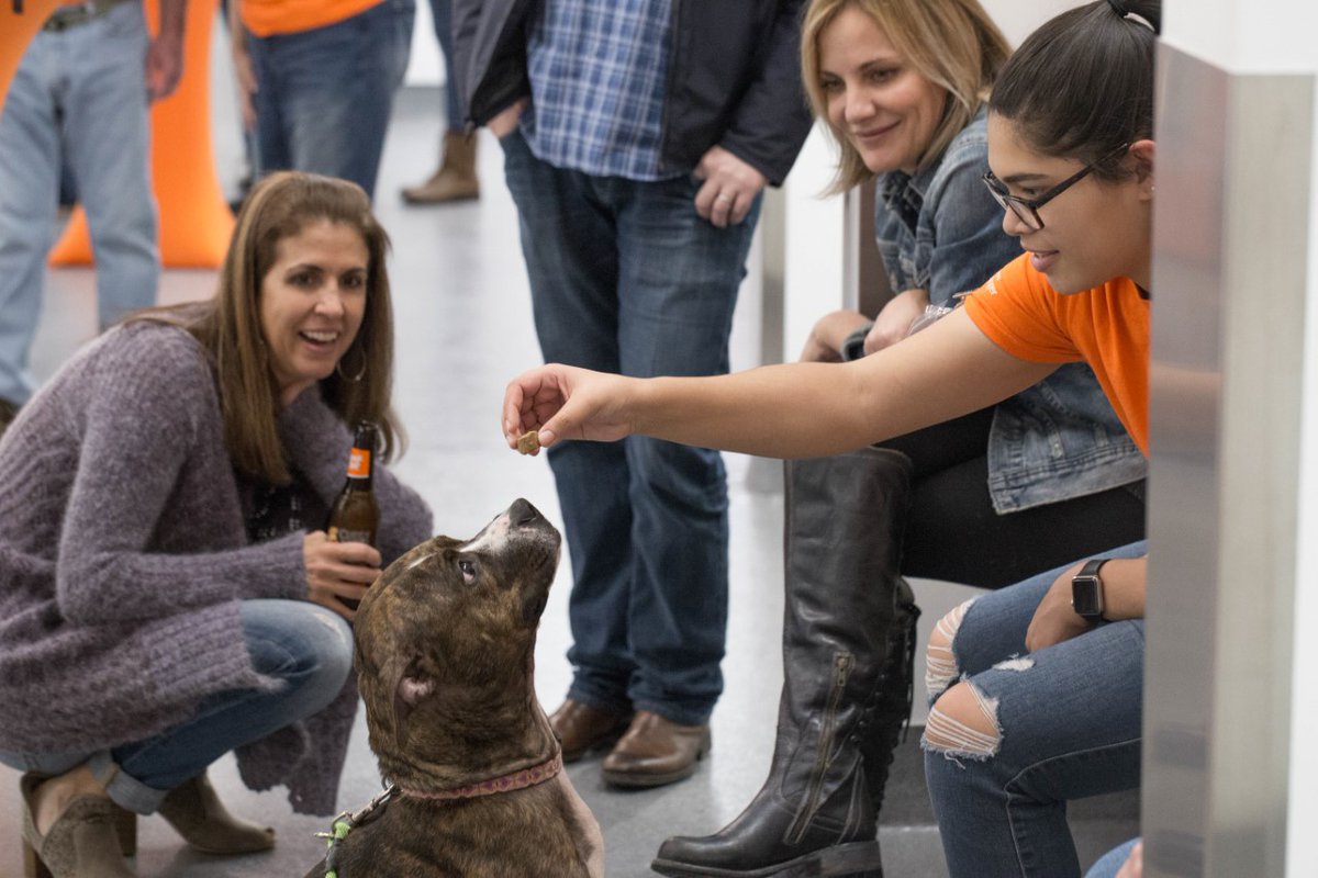 Help us raise funds to feed an average of 250+ animals per day by coming to Party With The Pets on January 23rd! For more details and to purchase tickets, visit our website: columbushumane.org/partywiththepe…