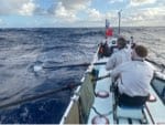 the_ocean_5's tweet photo. Some new photos from the #Ocean5 rowers in the #AtlanticOcean! #TWAC2019 https://t.co/gXxuk1tDki
