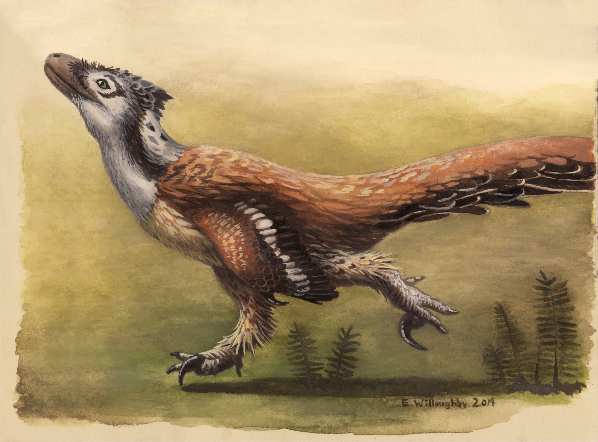 Four layers of Deinonychus – Emily Willoughby Art