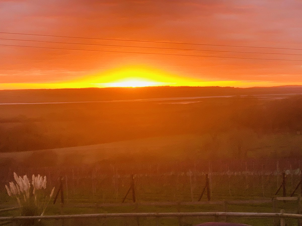 Amazing Sunset over the Vineyard #crouchridge #englishwine #crouchvalleywineregion