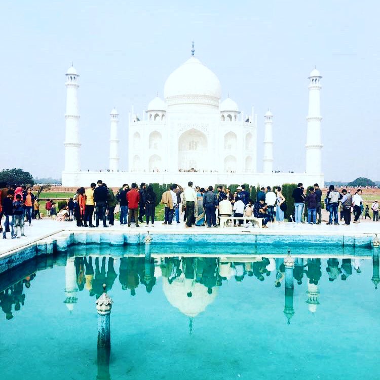 tour_olivia's tweet photo. Taj Mahal is one of the universally treasured and beloved masterpieces of the world's heritage. 

So Plan your Visit with us at Olivia Your because we make your Tour as Easy.

https://t.co/PgfnmbT87G https://t.co/C3PqcnmypS