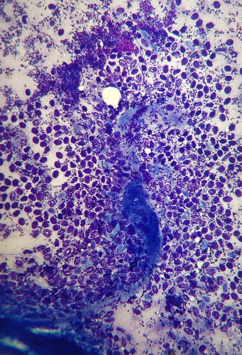 Anshuman Sinha MD tweet media