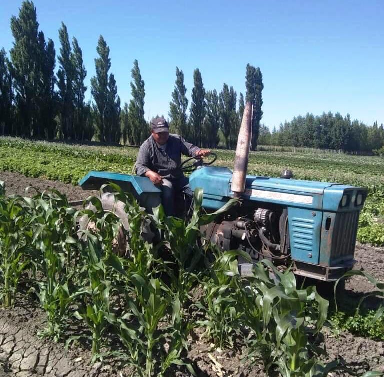 #MercadoConcentrador 

Asesoramos a productores hortícolas del #VIRCh en la formalización de sus ventas.

Más info👉 bit.ly/2ZWGKIj