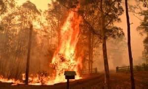 TheJaguaress's tweet photo. You want to help #Australia? let’s organize protests outside all the Australian embassies throughout the world. The prime minister is negligent to say the least, he is not the only one but we have to start somewhere. Australia needs to stop extractivism. #AustraliaFires https://t.co/xYHVsP4qZg