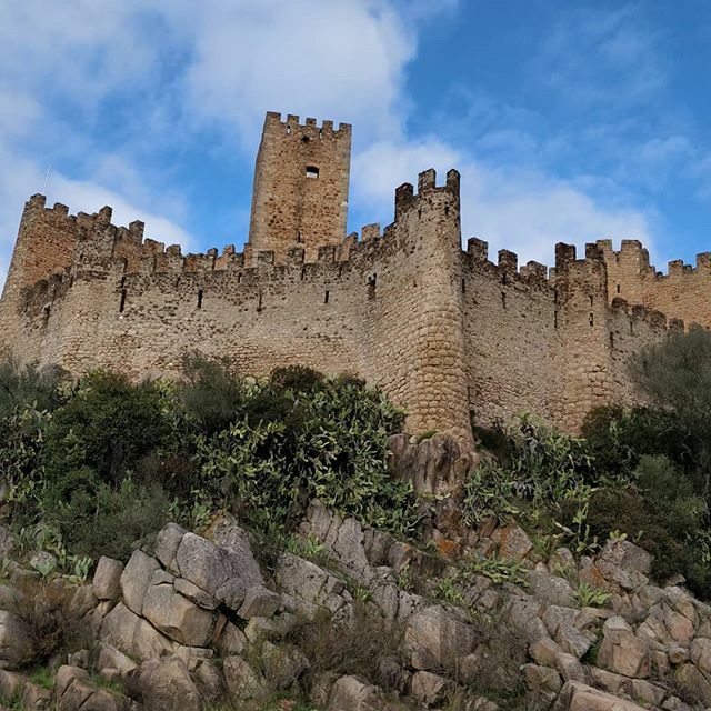 sandravalemkt's tweet photo. 🏰

#portugal #visitportugal #portugaldenorteasul #p3top #igersportugal #igerscentro #almourol #almourolcastle #almourolavista #greenery #green #nature #time4me #myworld #mybreak #mywordingreen #greens #naturephotography #nofilter #digitalmarketer #di… https://t.co/R7S5ygqdUN https://t.co/bMVAsiB4D4