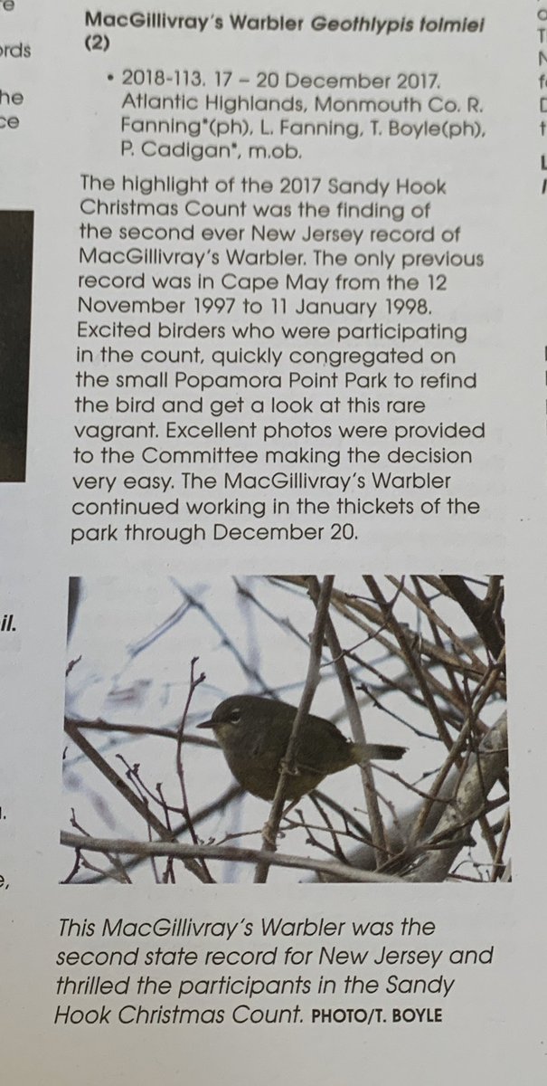 katehinds's tweet photo. But then you have successes! I can only imagine how pumped the #Christmascount participants were to spot this one. End note: the @NJAudubon says the state list stands at 479 species. (4/4) https://t.co/TOftLmhyM4