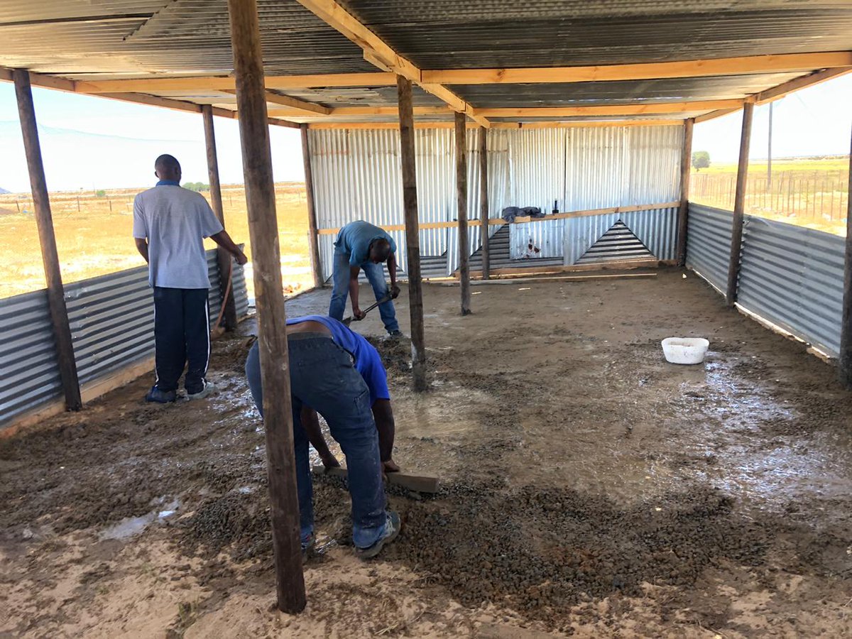 AgripolSA's tweet photo. Here is one of our highlights for 2019.. Poultry project completed with help from AGRIPOL SA🇿🇦.. at Malmesbury, Cape town. We assisted our client with the project from structure to market strategies.
Feel free to engage with us..
#Starting small
#AGRIPOL SA https://t.co/XO7GIahOuI