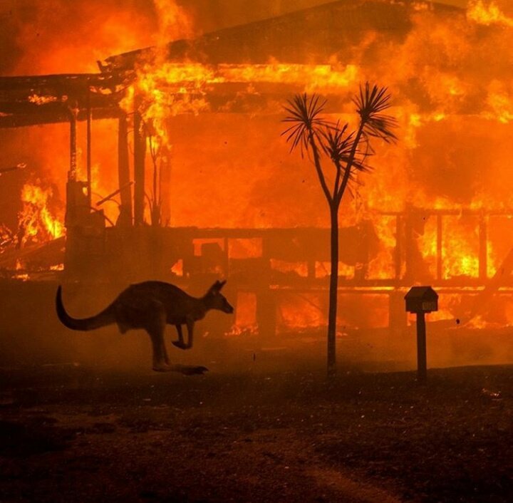cyruswithespos_'s tweet photo. that's australia right now, forest fires hit the biggest part of the country destroying everything in its way. it's very important that y'all share this, that it goes viral on social media, it's the only way for international aid to reach the affected areas by this catastrophe. https://t.co/CwOe4IHfaV