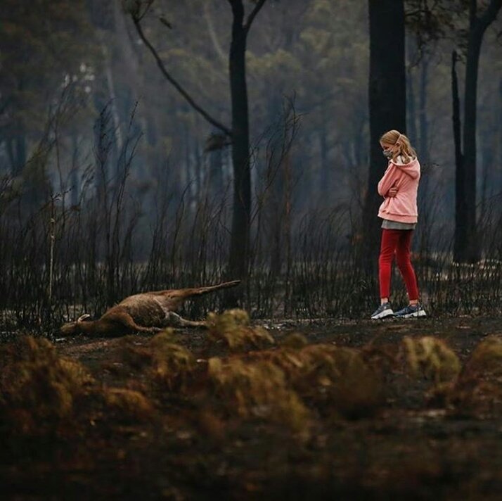 cyruswithespos_'s tweet photo. that's australia right now, forest fires hit the biggest part of the country destroying everything in its way. it's very important that y'all share this, that it goes viral on social media, it's the only way for international aid to reach the affected areas by this catastrophe. https://t.co/CwOe4IHfaV