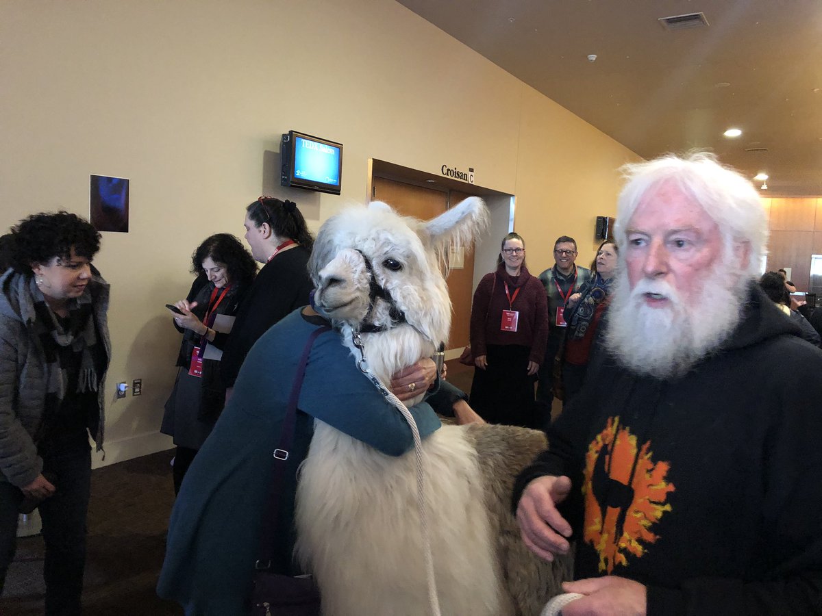 TEDxSalem_com's tweet photo. @CaesarTheLlama is here at #TEDxSalem https://t.co/0CHdzpT5YA