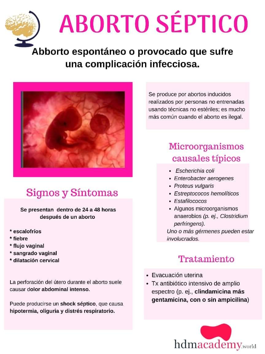HWorldllc's tweet photo. En 5 minutos... ¡ABORTO SÉPTICO!

Accede a nuestras Flashcards gratis en
https://t.co/WSzUIp3BtC

Para mayor contenido visita
https://t.co/kOU1OwTp5T

#HDM #HDMWorld #HDMAcademy #medicina #medicine #enfermedad #aborto #septico https://t.co/or7AHg9NRG