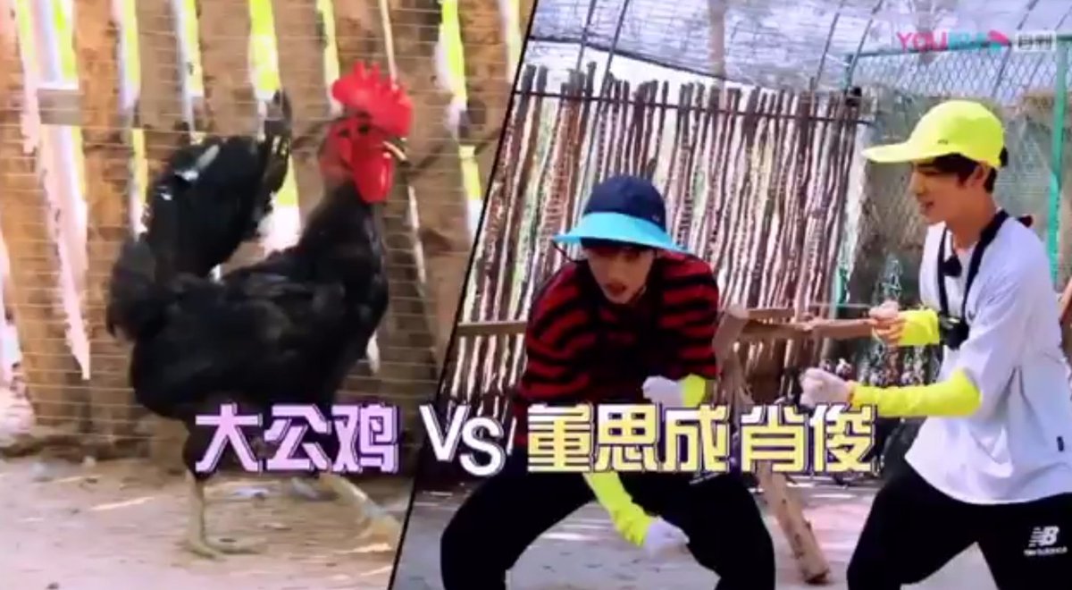 xiaojun and winwin vs the chicken from dream plan